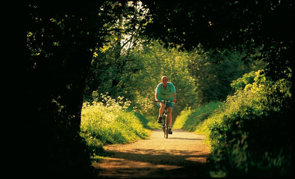 Troy Self Catering Village Limerick Ireland Экстерьер фото